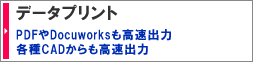 データプリント