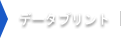 データプリント