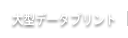 大型ポスター出力